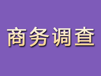 柳林商务调查